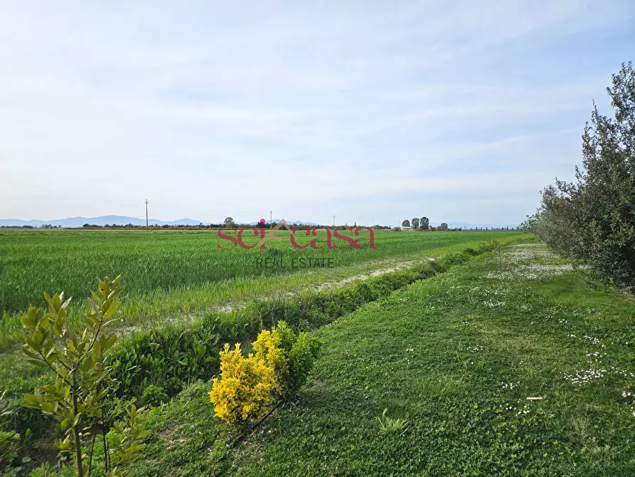 Immagine 22 di Agriturismo in vendita  a Grosseto