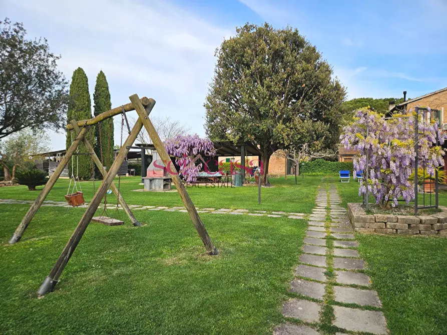 Immagine 24 di Agriturismo in vendita  a Grosseto