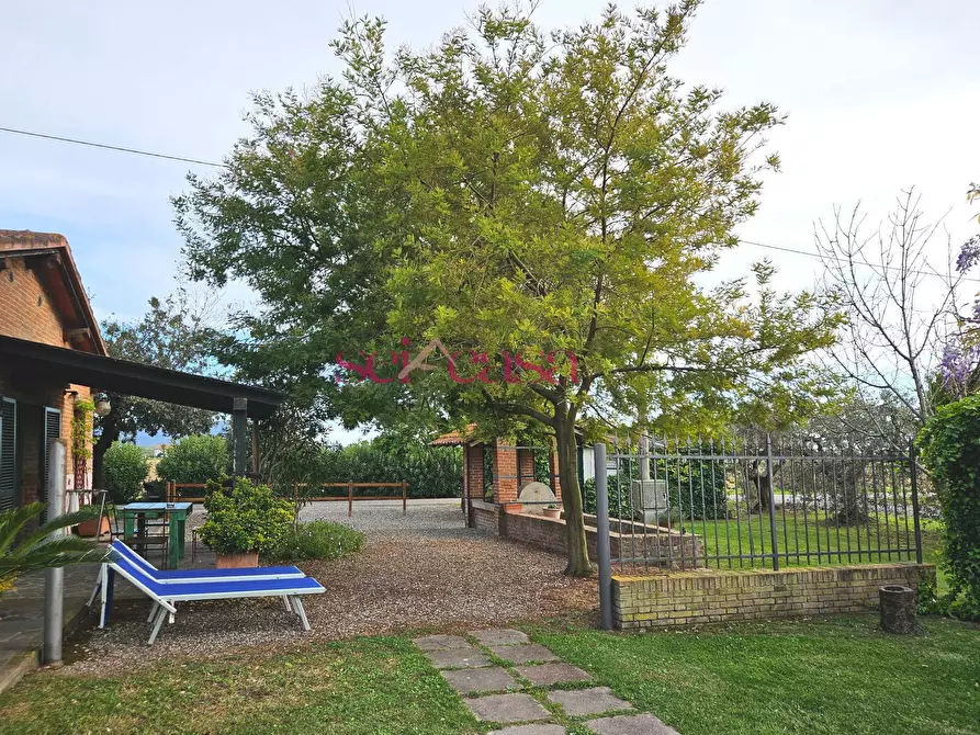 Immagine 26 di Agriturismo in vendita  a Grosseto
