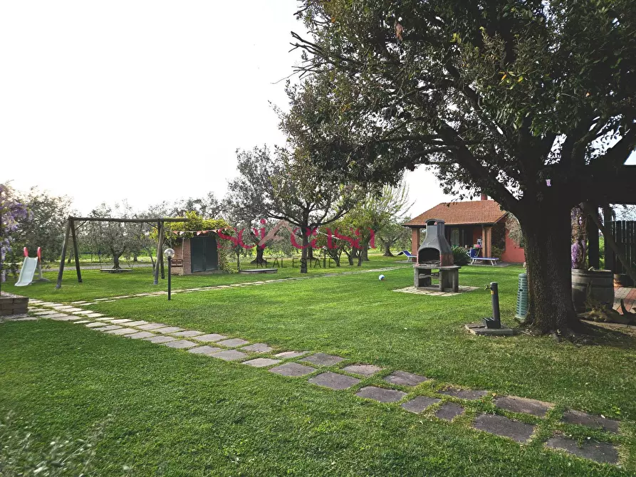 Immagine 28 di Agriturismo in vendita  a Grosseto
