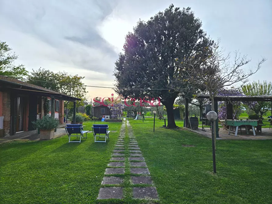Immagine 29 di Agriturismo in vendita  a Grosseto