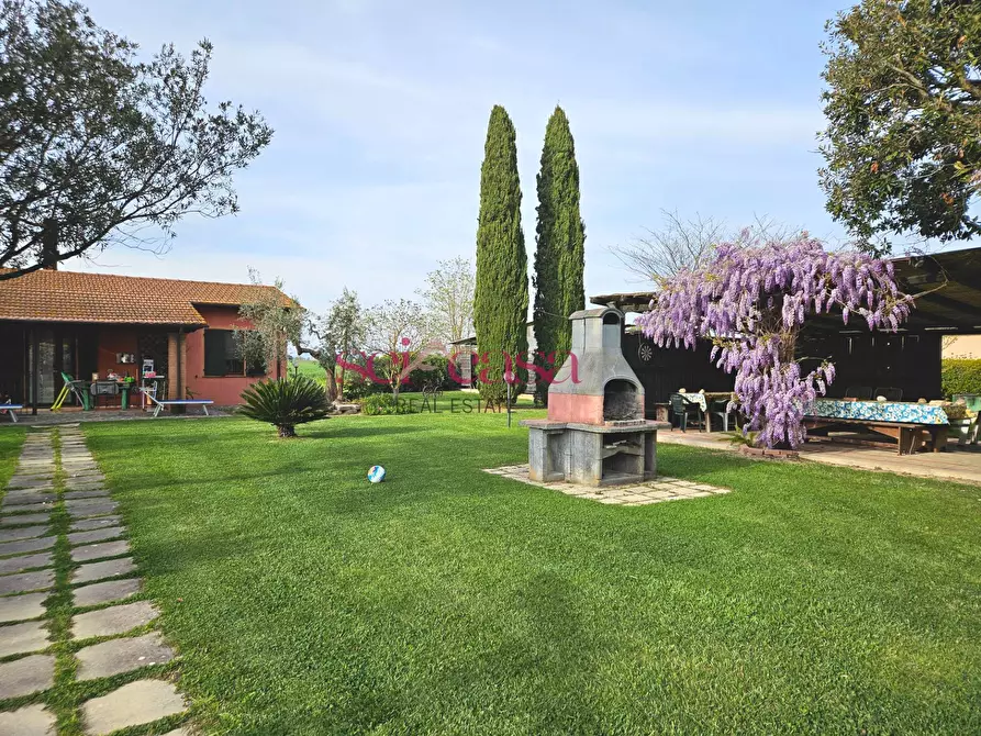 Immagine 30 di Agriturismo in vendita  a Grosseto