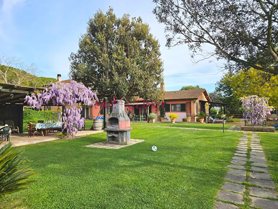 Immagine 31 di Agriturismo in vendita  a Grosseto