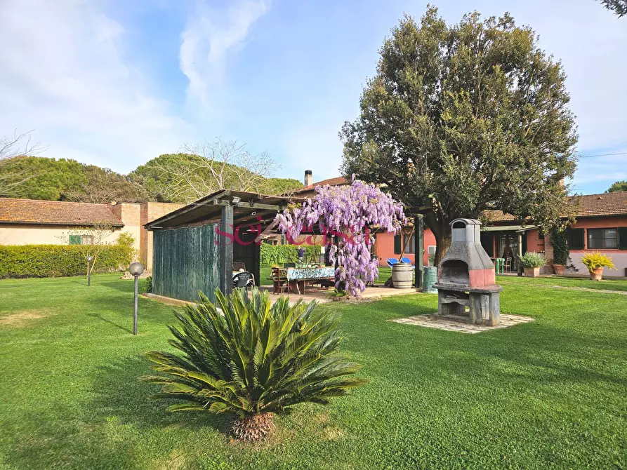 Immagine 32 di Agriturismo in vendita  a Grosseto