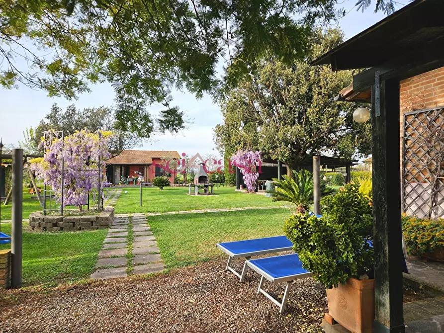 Immagine 35 di Agriturismo in vendita  a Grosseto