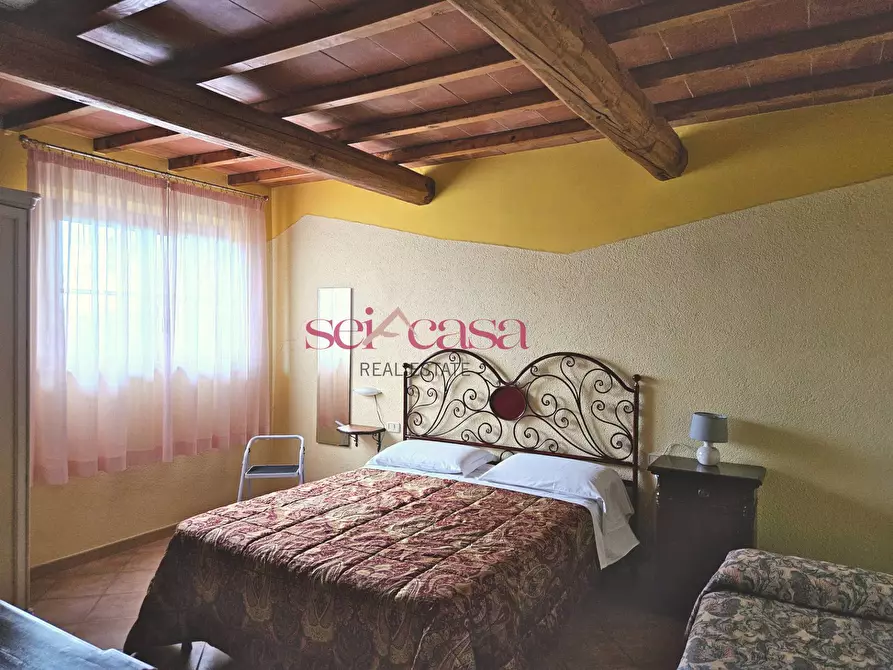 Immagine 44 di Agriturismo in vendita  a Grosseto