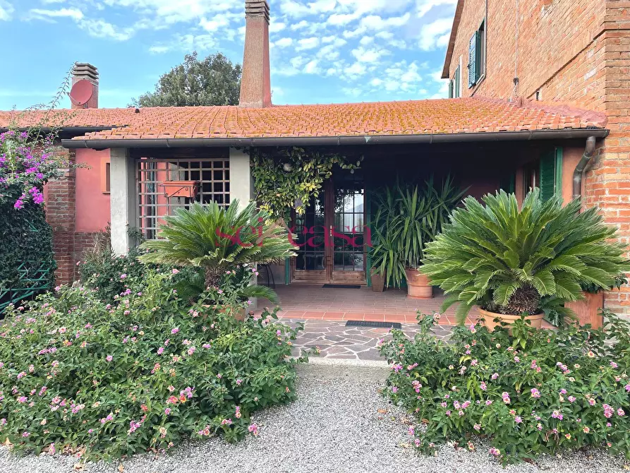 Immagine 37 di Agriturismo in vendita  a Grosseto