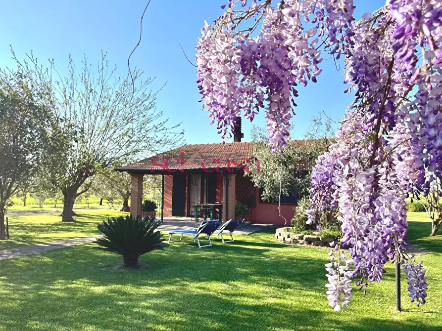 Immagine 38 di Agriturismo in vendita  a Grosseto