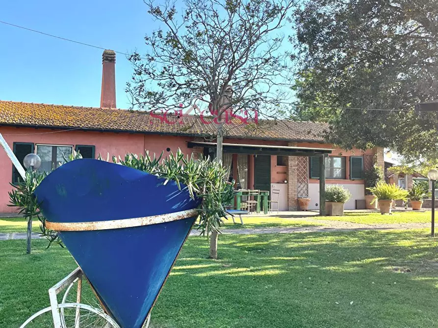 Immagine 42 di Agriturismo in vendita  a Grosseto