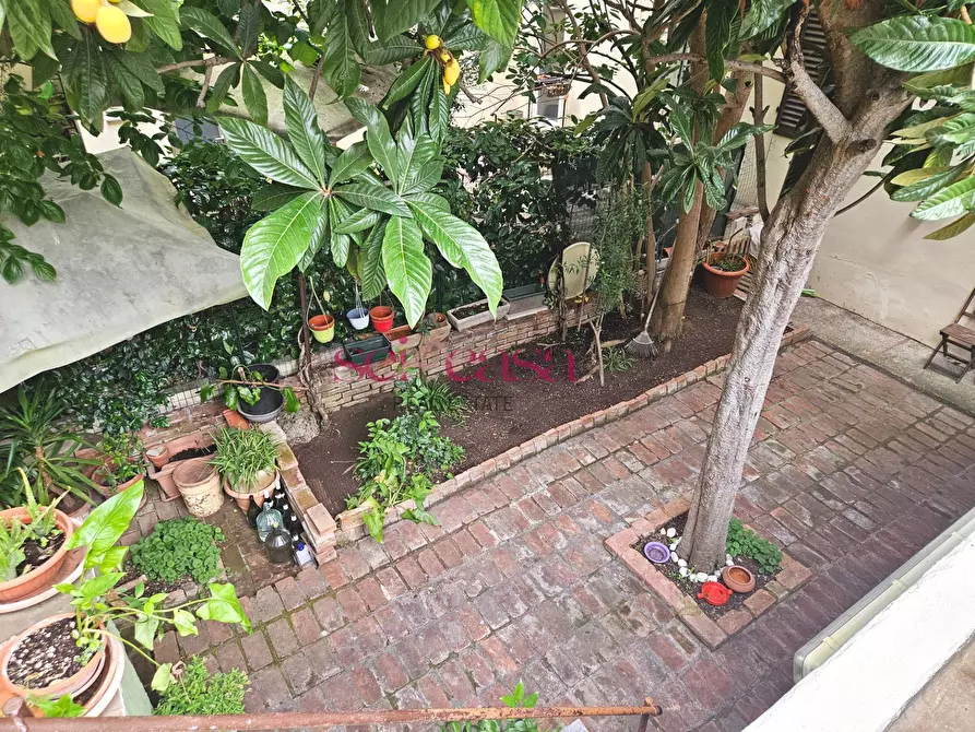 Immagine 3 di Appartamento in vendita  a Grosseto