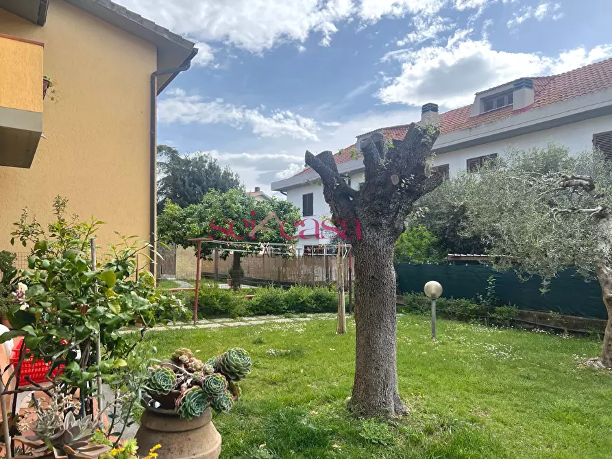 Immagine 4 di Villetta a schiera in vendita  a Campagnatico