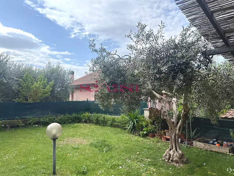 Immagine 2 di Villetta a schiera in vendita  a Campagnatico