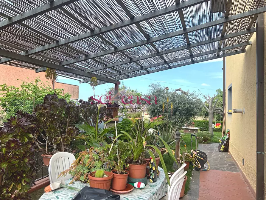 Immagine 5 di Villetta a schiera in vendita  a Campagnatico
