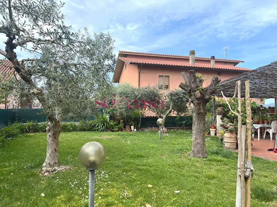 Immagine 3 di Villetta a schiera in vendita  a Campagnatico