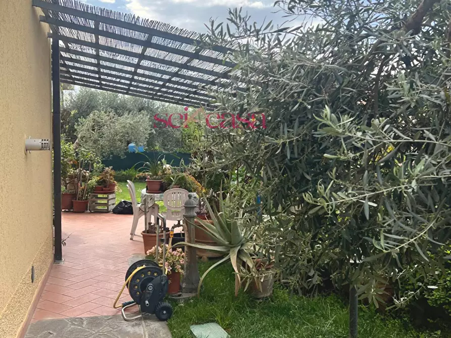 Immagine 6 di Villetta a schiera in vendita  a Campagnatico