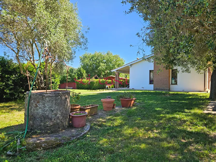 Immagine 17 di Rustico / casale in vendita  a Grosseto