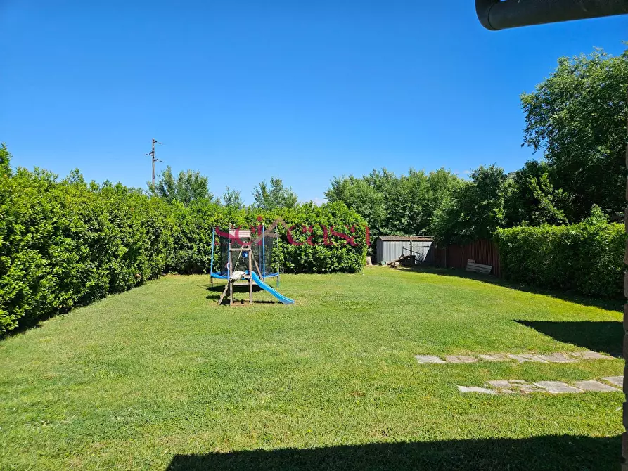 Immagine 19 di Rustico / casale in vendita  a Grosseto
