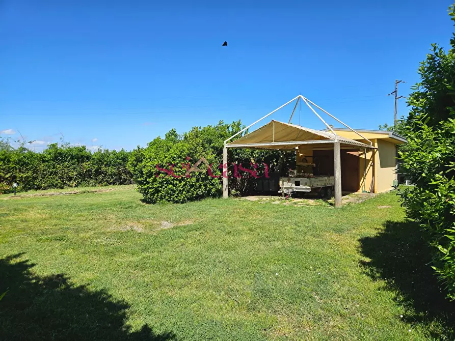 Immagine 21 di Rustico / casale in vendita  a Grosseto