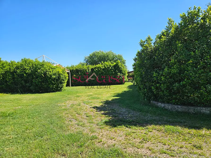 Immagine 22 di Rustico / casale in vendita  a Grosseto