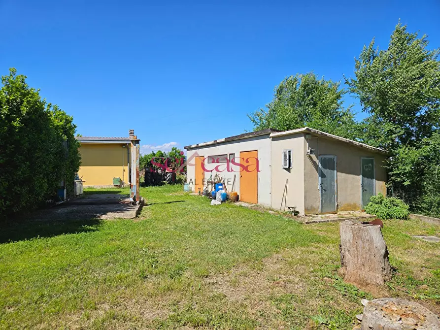 Immagine 24 di Rustico / casale in vendita  a Grosseto