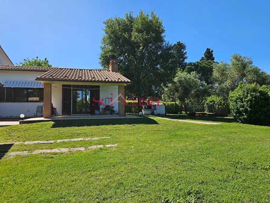 Immagine 25 di Rustico / casale in vendita  a Grosseto