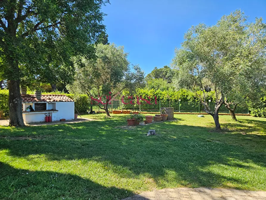 Immagine 27 di Rustico / casale in vendita  a Grosseto
