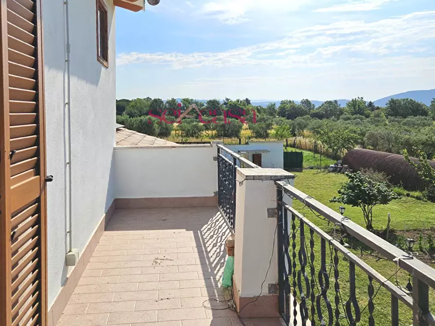 Immagine 17 di Rustico / casale in vendita  a Grosseto