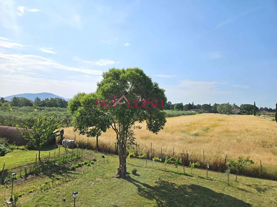 Immagine 18 di Rustico / casale in vendita  a Grosseto