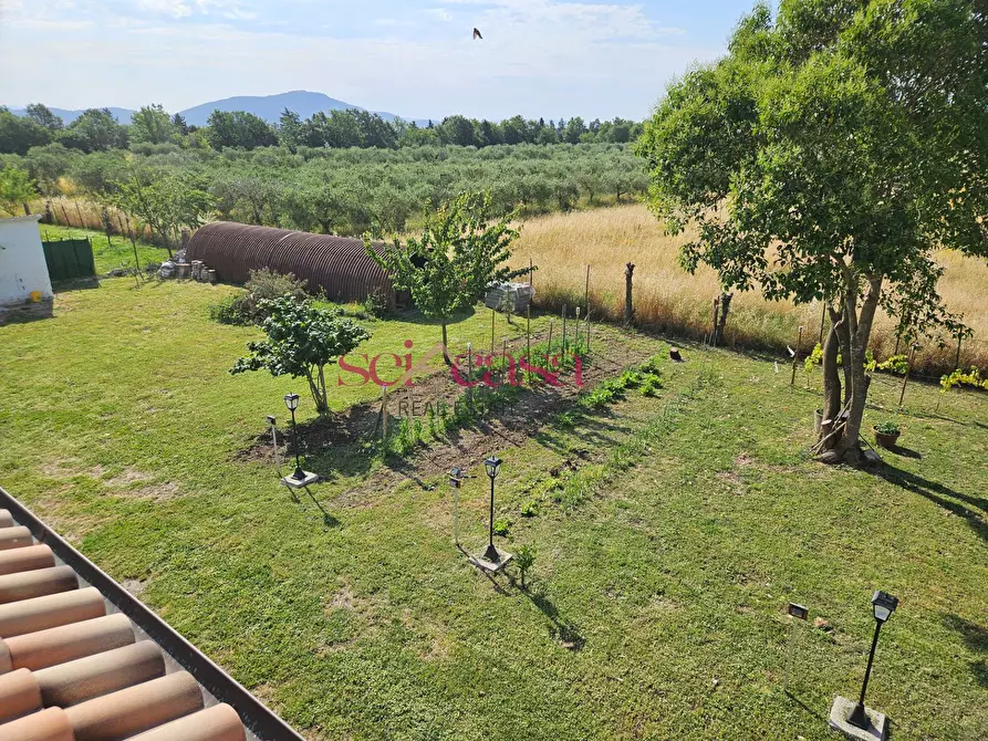 Immagine 19 di Rustico / casale in vendita  a Grosseto