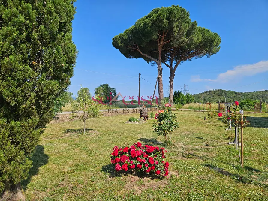 Immagine 3 di Rustico / casale in vendita  a Grosseto