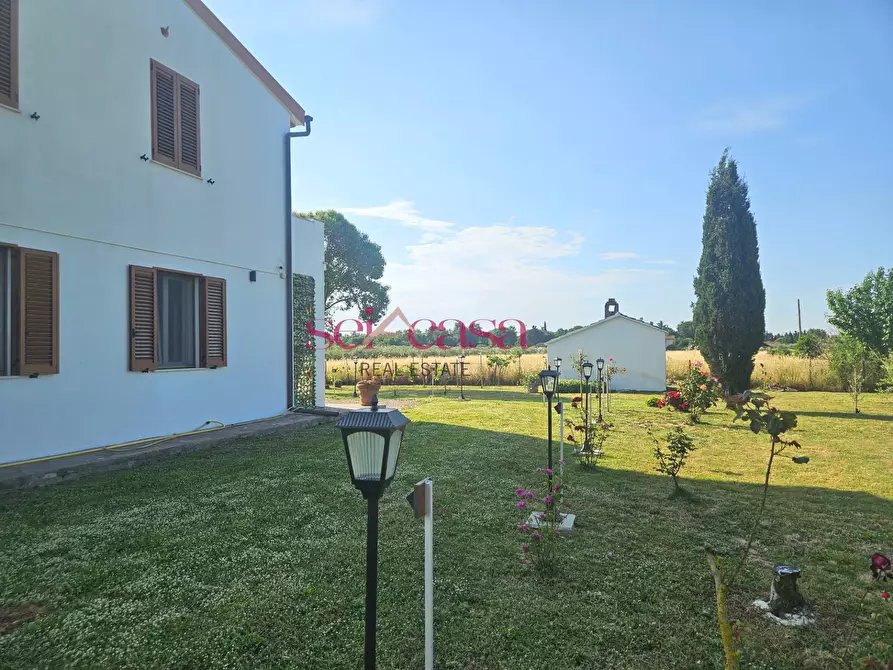Immagine 2 di Rustico / casale in vendita  a Grosseto