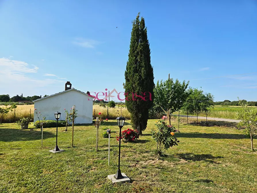 Immagine 25 di Rustico / casale in vendita  a Grosseto