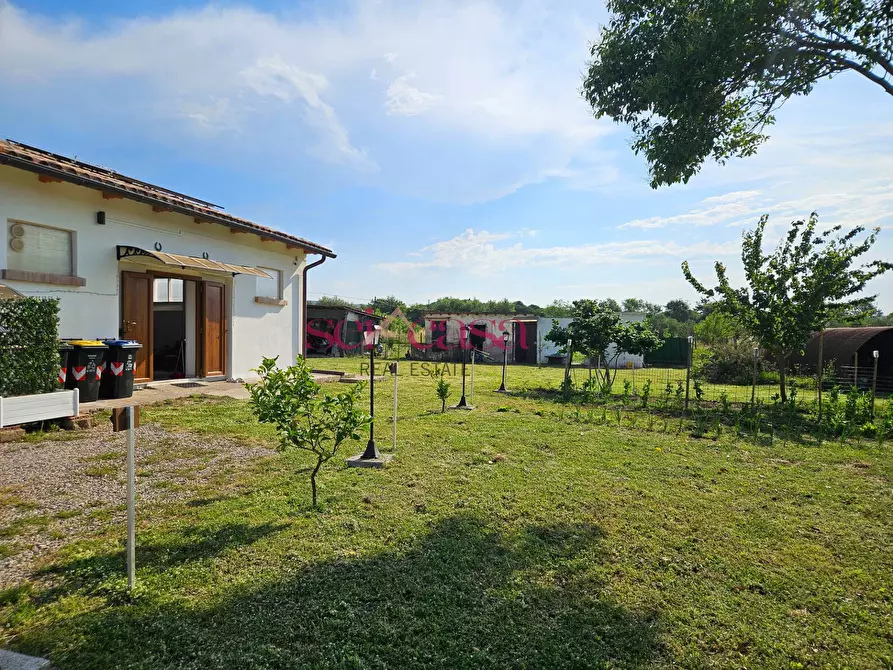 Immagine 26 di Rustico / casale in vendita  a Grosseto