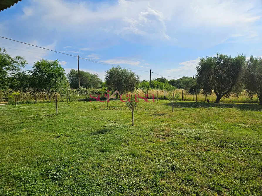 Immagine 28 di Rustico / casale in vendita  a Grosseto