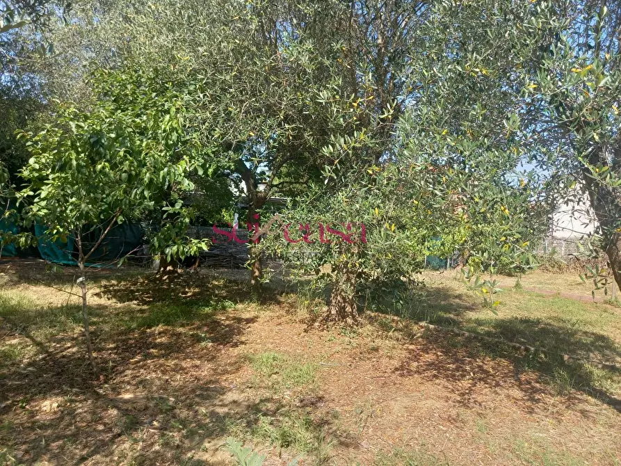 Immagine 18 di Villa in vendita  a Grosseto