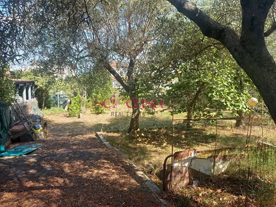 Immagine 19 di Villa in vendita  a Grosseto