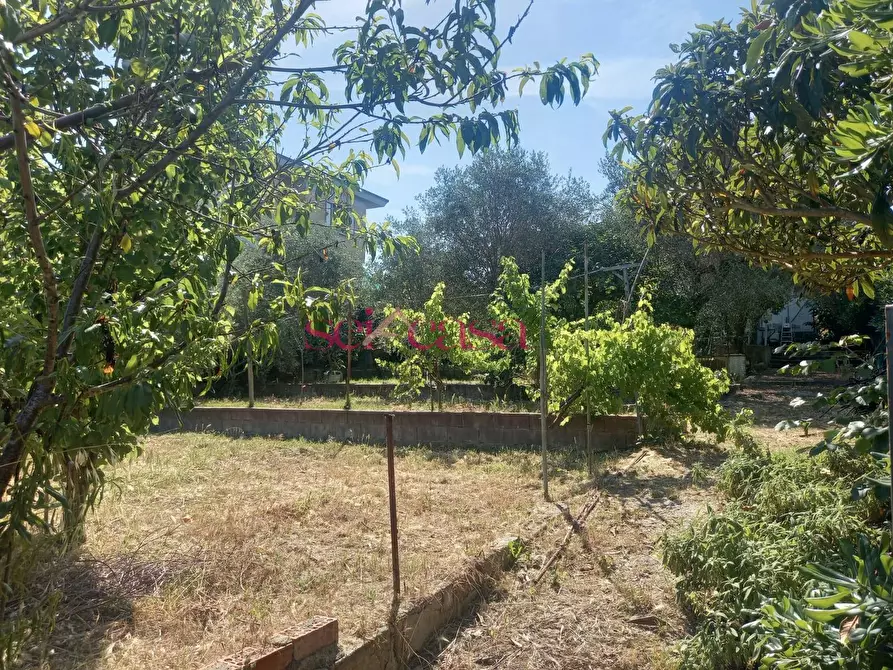 Immagine 20 di Villa in vendita  a Grosseto