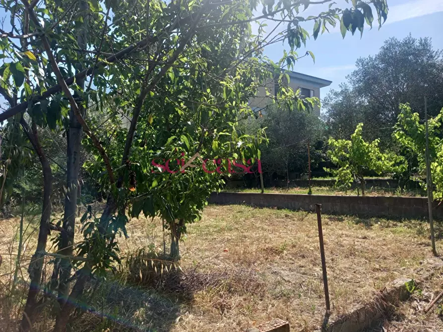 Immagine 22 di Villa in vendita  a Grosseto