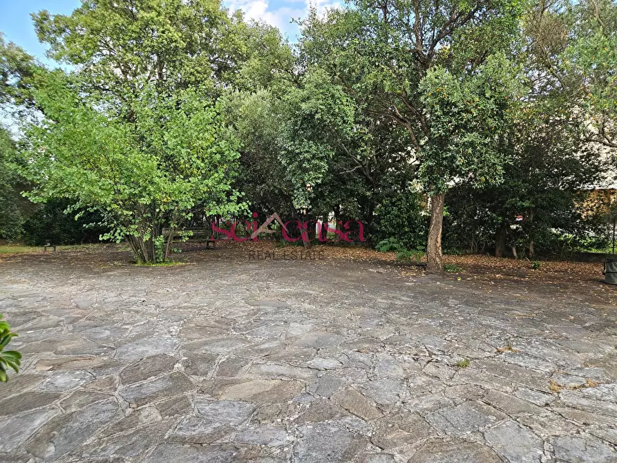 Immagine 23 di Villa in vendita  a Grosseto