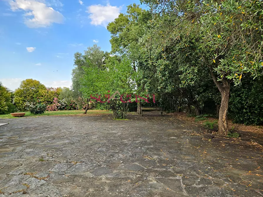 Immagine 26 di Villa in vendita  a Grosseto
