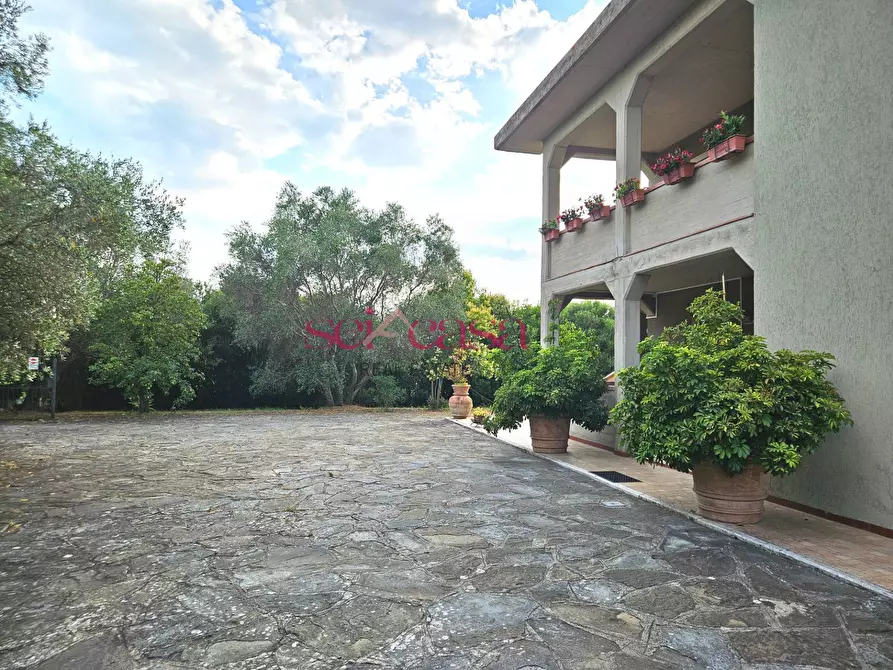 Immagine 27 di Villa in vendita  a Grosseto