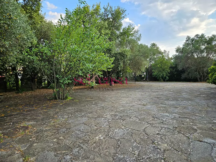 Immagine 28 di Villa in vendita  a Grosseto