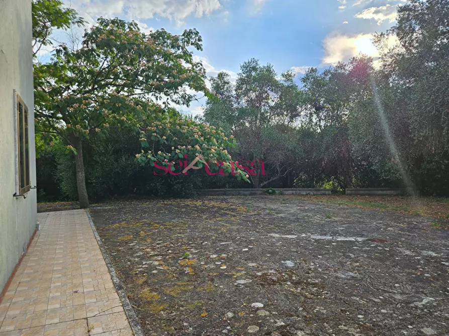 Immagine 29 di Villa in vendita  a Grosseto