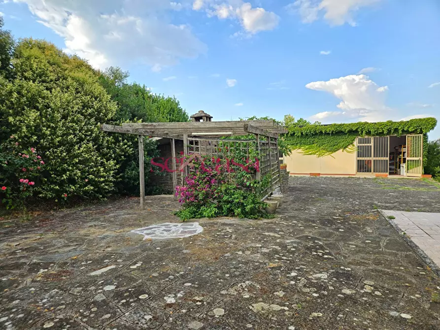 Immagine 30 di Villa in vendita  a Grosseto