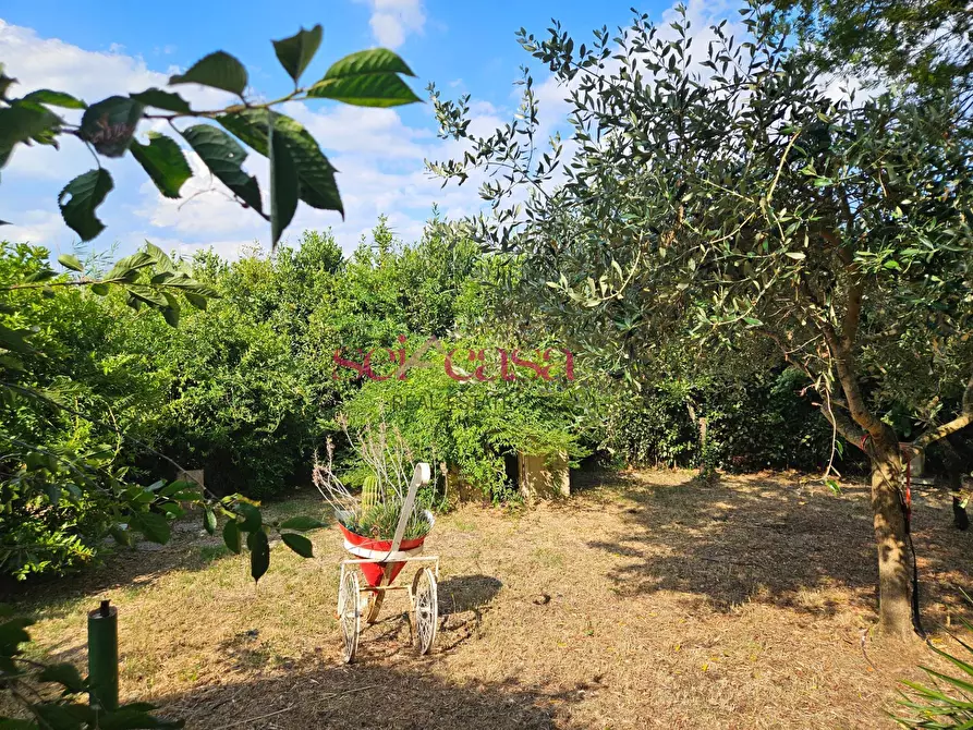 Immagine 5 di Rustico / casale in vendita  a Grosseto