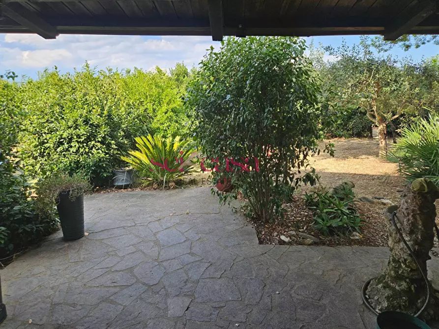 Immagine 36 di Rustico / casale in vendita  a Grosseto