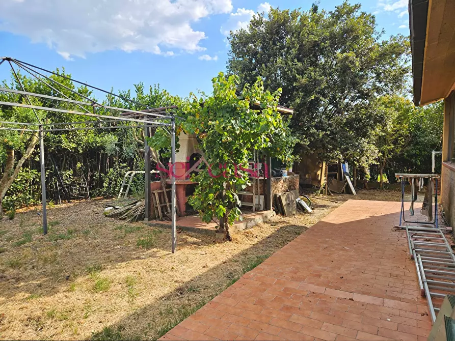 Immagine 31 di Rustico / casale in vendita  a Grosseto