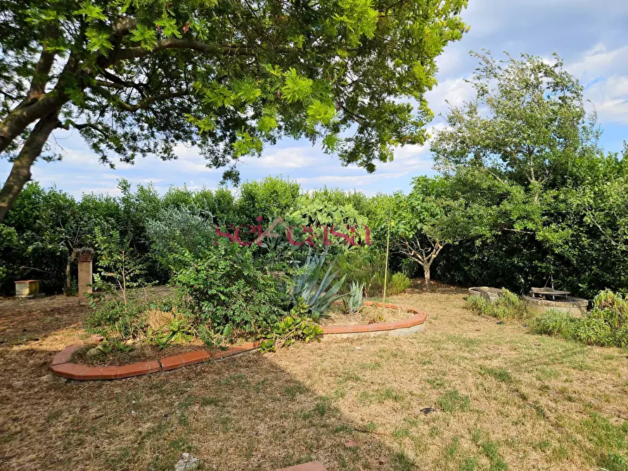 Immagine 35 di Rustico / casale in vendita  a Grosseto