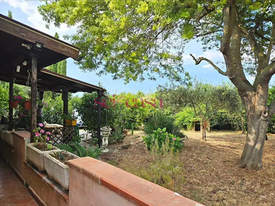 Immagine 2 di Rustico / casale in vendita  a Grosseto