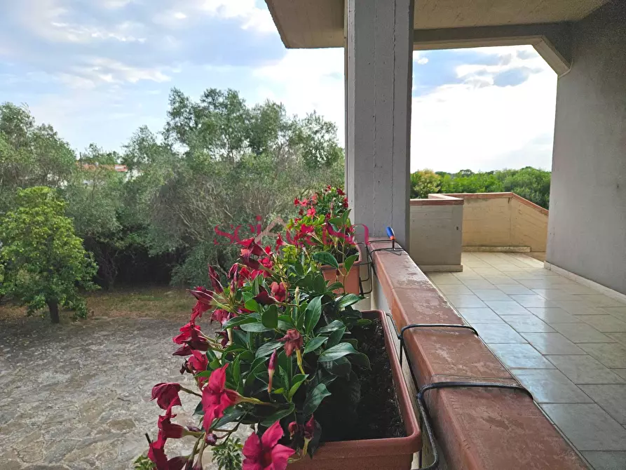 Immagine 11 di Villa in vendita  a Grosseto